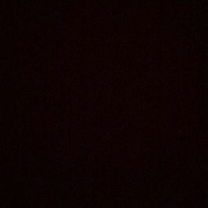 Meet your Posher, Lucy